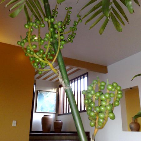 Pousada Gente Bonita Mirante Búzios المظهر الخارجي الصورة